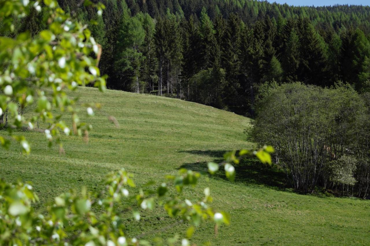 Landhaus Holzer سانكت مارغارثين إم يونغاو المظهر الخارجي الصورة